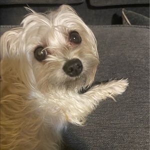 Meet your Posher, Deona